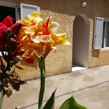 Sitzanaki Chania (Crete)