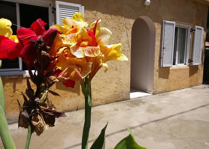 Sitzanaki Chania (Crete)